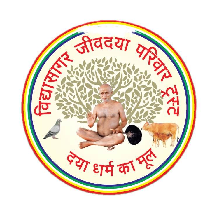 Vidyasagar Jeev Daya Parivar Trust